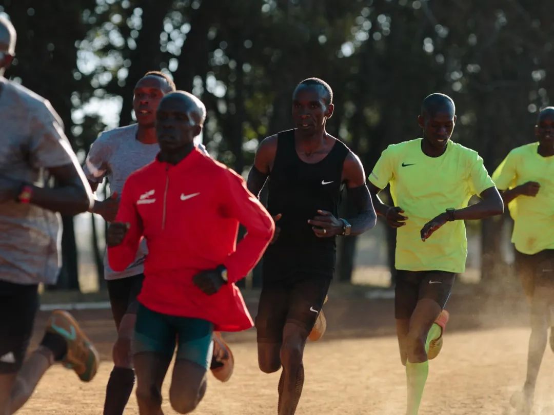 地球最强马拉松选手的身体强在哪里？